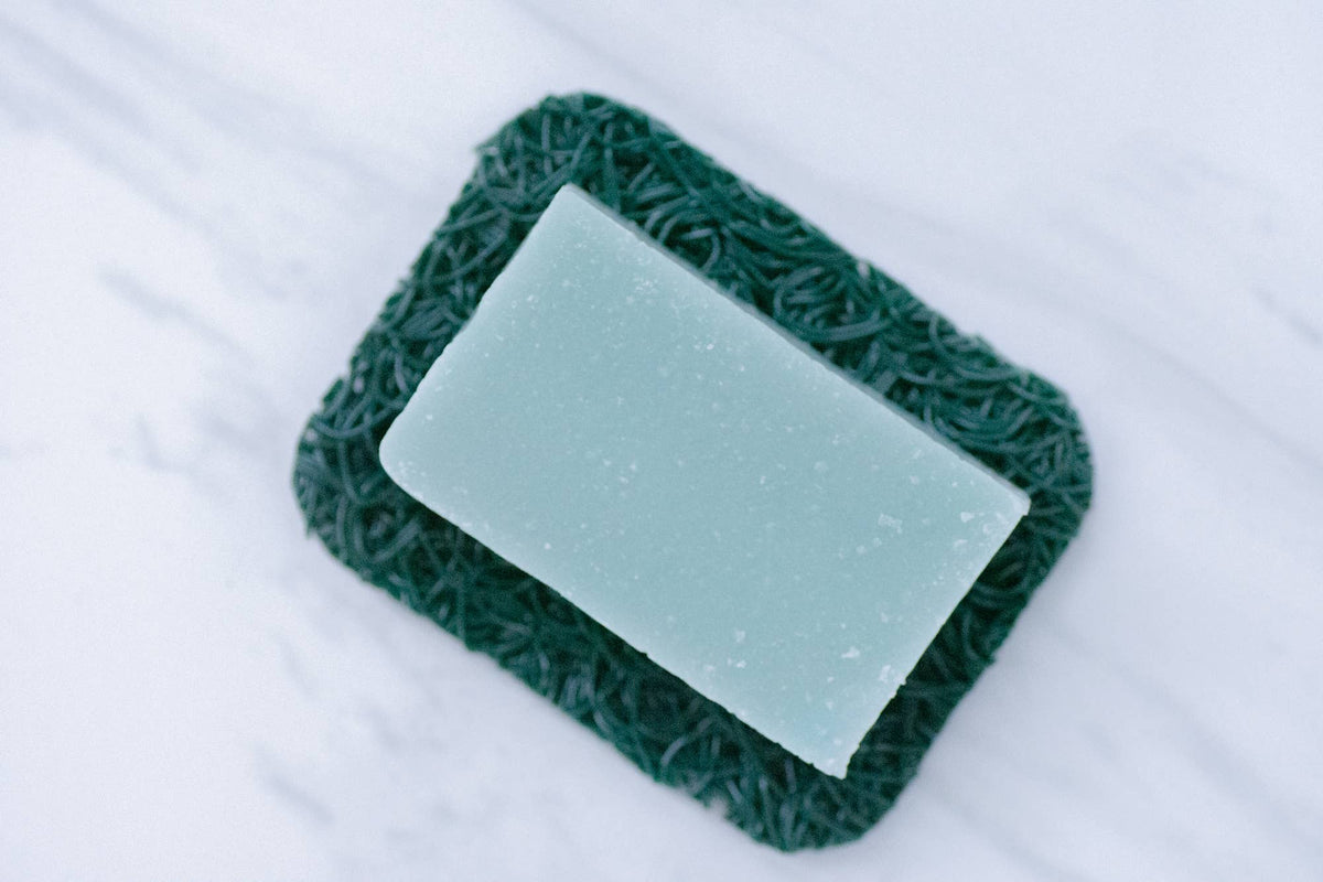 PLANTOODLE™ Bar Safe - Royal Spruce