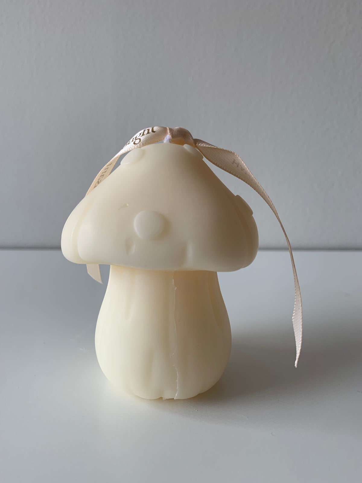 Mushroom candle | Pillar
