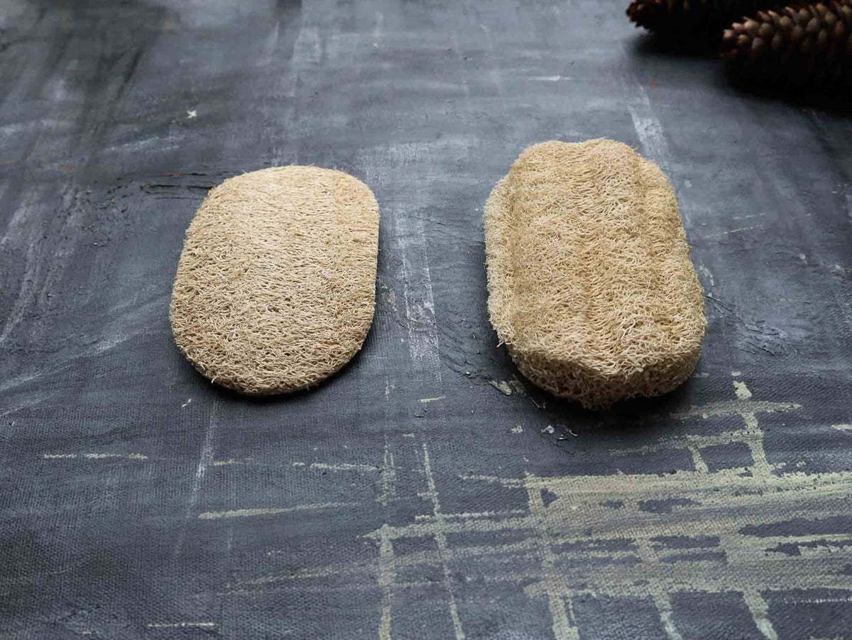 Loofah Dishwashing Sponge: Set of 2 Sponges