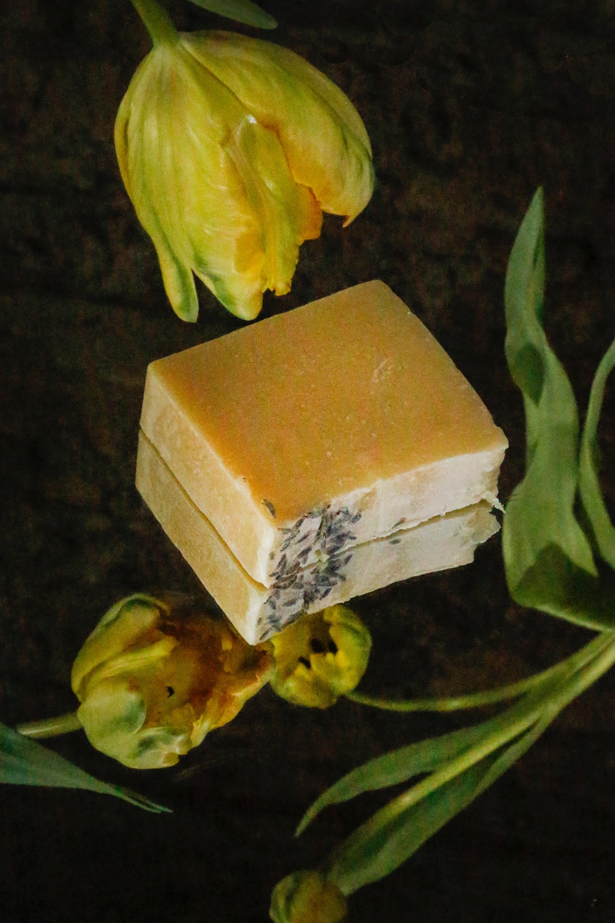 Equinox Soap