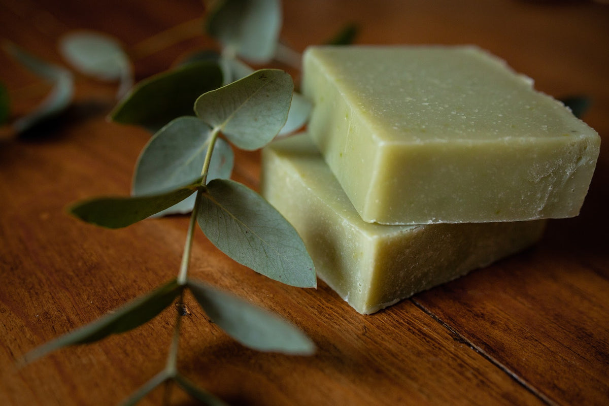 Cucumber Eucalyptus Soap
