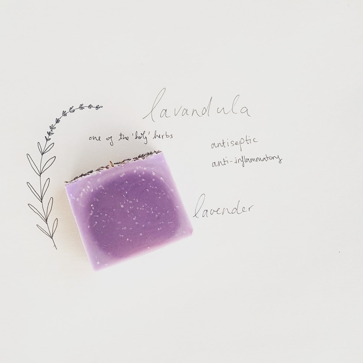 Lavandula Lavender Soap