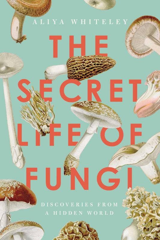 Secret Life of Fungi: Discoveries From a Hidden World